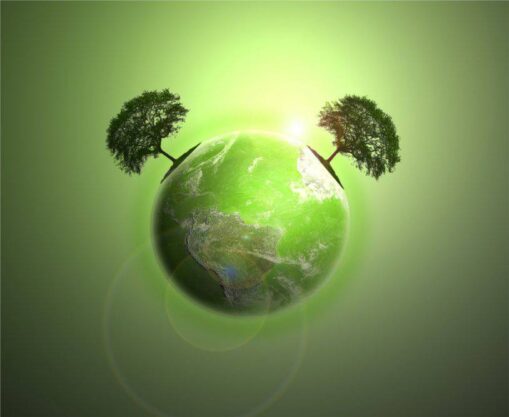 mundo sostenible